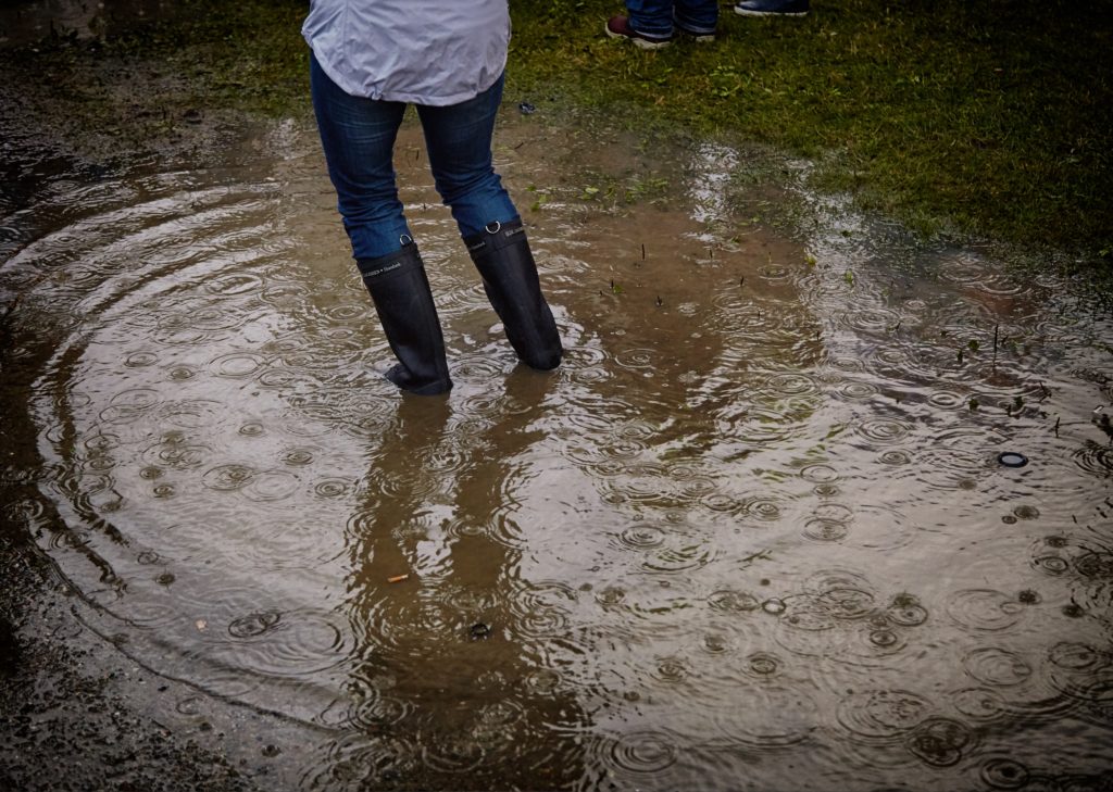 Flood Insurance Español