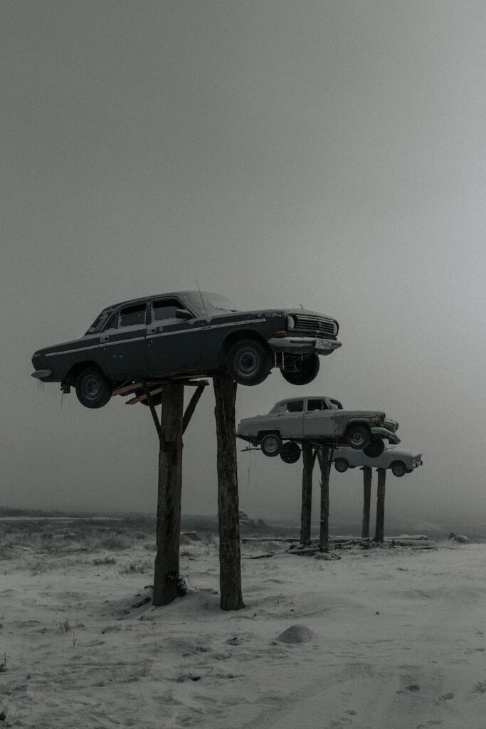 cars on wooden poles in the snow