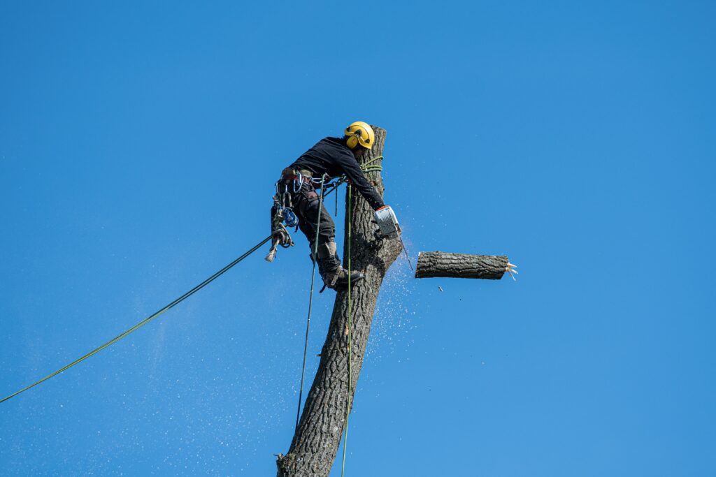 General Liability Insurance for Tree Service