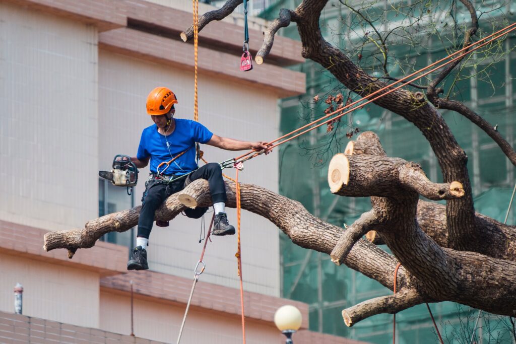 workers compensation for tree service